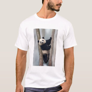 中国の木登りする若いパンダ Tシャツ