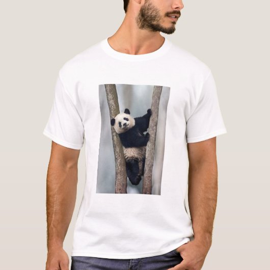 中国の木登りする若いパンダ Tシャツ (正面)