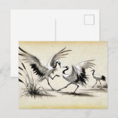 中国の湿原での2羽のサギの求愛ダンス ポストカード (正面/裏面)