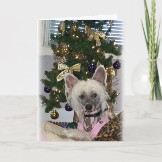 中国の紋付きクリスマスカード シーズンカード (正面)