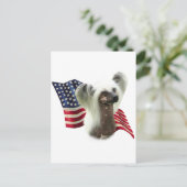 中国の紋付き旗 ポストカード (スタンド正面)