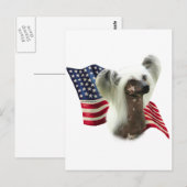 中国の紋付き旗 ポストカード (正面/裏面)