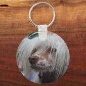 中国の紋付き犬 キーホルダー (正面)