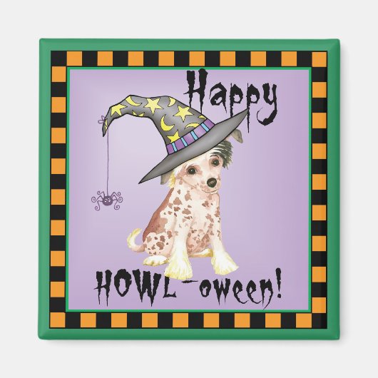 中国の紋付き魔女 マグネット (正面)