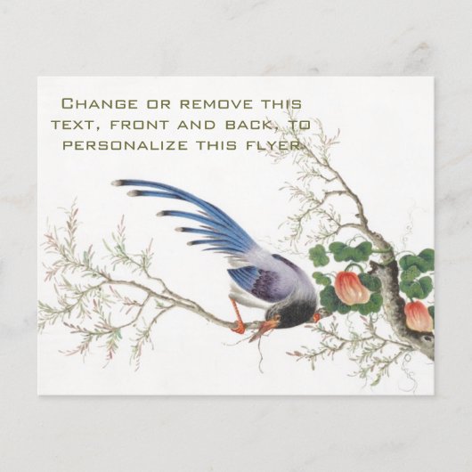 中国の絵画鳥 チラシ (正面)