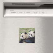中国の臥龍保護区、ジャイアントパンダの抱擁 マグネット (インサイチュ (食洗機))