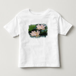 中国の蓮の花 トドラーTシャツ