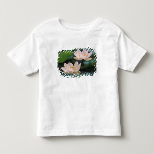 中国の蓮の花 トドラーTシャツ (正面)