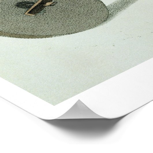 「中国の衣裳」の労働者プレート27 ポスター (角)