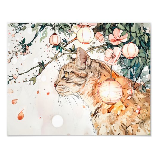 中国の輝くランタンの中でたばねの芸妓ねこ フォトプリント            (正面)