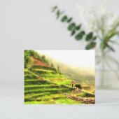 中国の農家 ポストカード (スタンド正面)