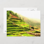 中国の農家 ポストカード (正面/裏面)