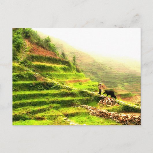 中国の農家 ポストカード (正面)