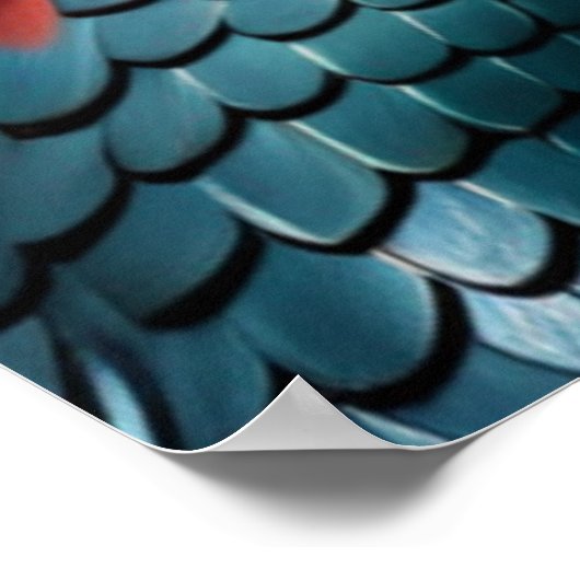 中国の〔占星術の〕十二宮図アート辰年リアル ポスター (角)