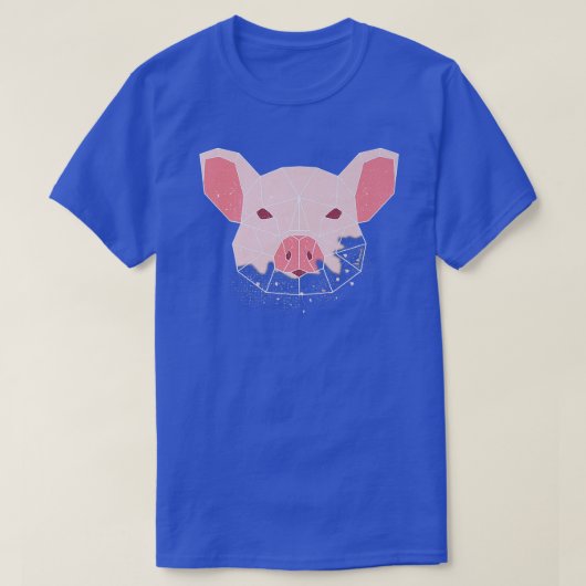 中国の〔占星術の〕十二宮図ピグプレミアム430 Tシャツ (デザイン正面)