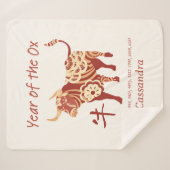 中国の〔占星術の〕十二宮図年 シェルパブランケット (正面(横))