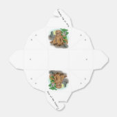 中国の〔占星術の〕十二宮図年 フェイバーボックス (折り畳みなし)