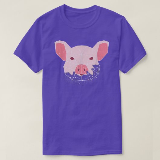 中国の〔占星術の〕十二宮図Pig423 Tシャツ (デザイン正面)