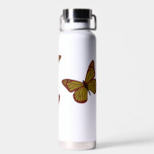 中国の(昆虫)オオカバマダラ、モナーク ウォーターボトル (背面)