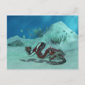 中国の/水日本の龍はがき ポストカード (正面)