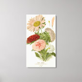 中国アスター – 絶妙なヴィンテージフローラ植物学 キャンバスプリント (正面)