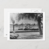 中国クリッパー係留オンハワイアン島 ポストカード (正面/裏面)