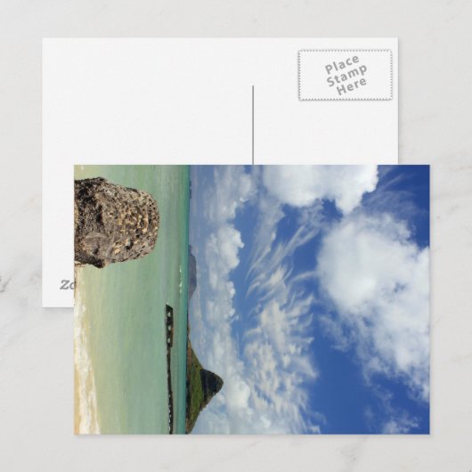 中国人の帽子 ポストカード (正面/裏面)