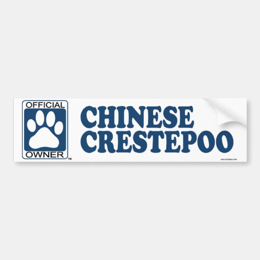 中国人のCrestepooの青 バンパーステッカー (正面)