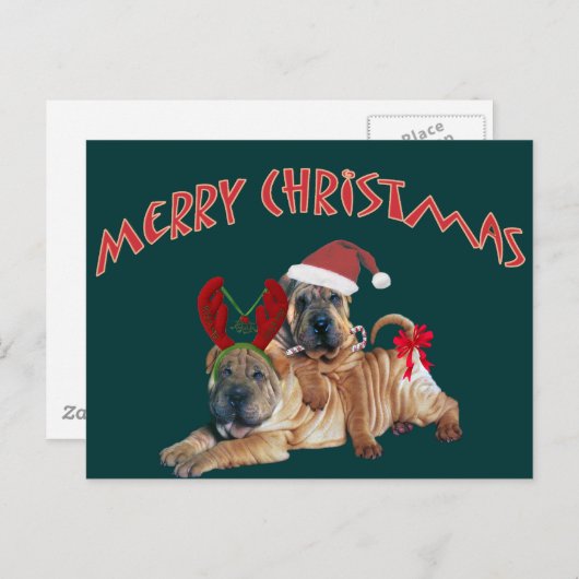 中国人のShar-peiのメリークリスマスのギフト シーズンポストカード (正面/裏面)