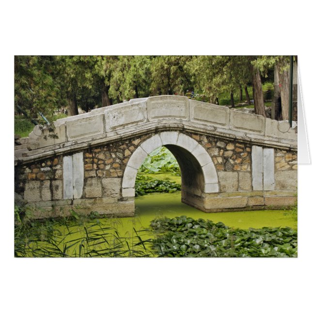 中国北京頤和園の橋 (正面横)