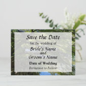 中国庭園の鯉の池　Save the Date セーブザデート (スタンド正面)