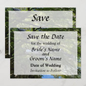 中国庭園の鯉の池　Save the Date セーブザデート (正面/裏面)
