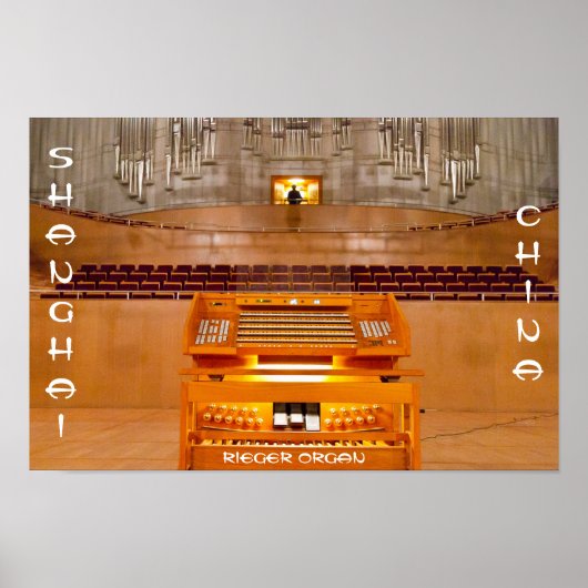 中国最大の臓器ポスター ポスター (正面)