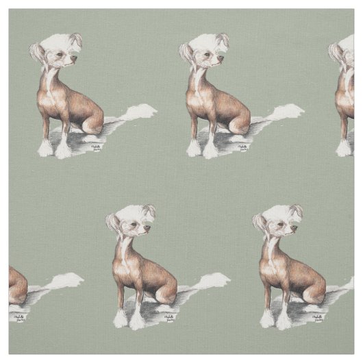 中国語によって頂点に達される着席犬の芸術の生地 ファブリック (見本)