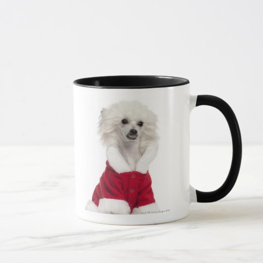 中国語は犬(1歳)身に着けているaの頂点に達しました マグカップ (右)