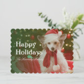 中国語は飾られたバスケットに坐っている犬の頂点に達しました シーズンカード (スタンド正面)