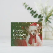 中国語は飾られたバスケットに坐っている犬の頂点に達しました シーズンポストカード (スタンド正面)