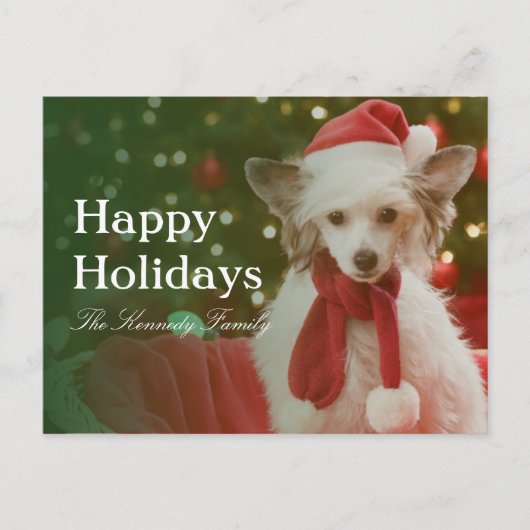 中国語は飾られたバスケットに坐っている犬の頂点に達しました シーズンポストカード (正面)