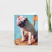 中国語Shar-Pei カード (正面)