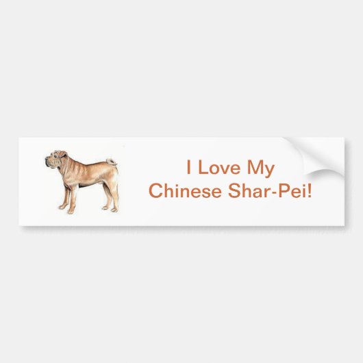 中国語Shar-Pei バンパーステッカー (正面)