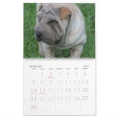 中国語Shar Pei 15か月のカレンダー カレンダー (2月 2027)