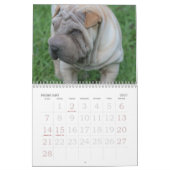 中国語Shar Pei 15か月 カレンダー (2月 2027)