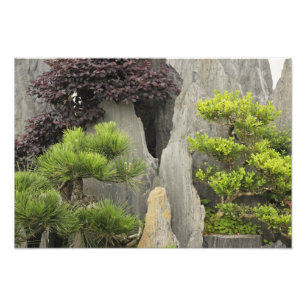 中国黄山の鮑家古園 2 フォトプリント           