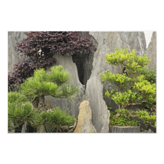 中国黄山の鮑家古園 2 フォトプリント            (正面)