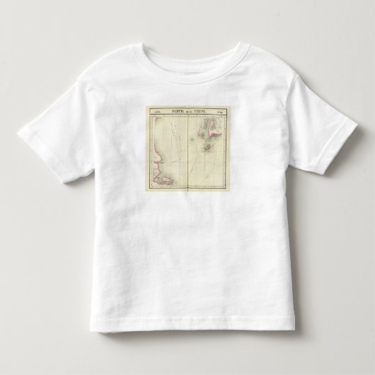 中国、アジア74 トドラーTシャツ (正面)
