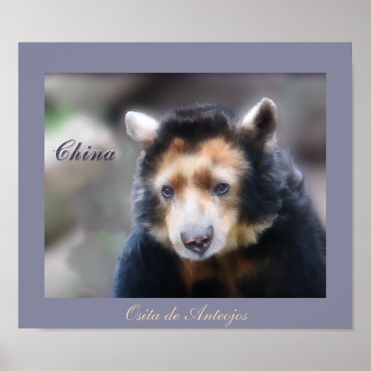 中国 – オシタデアンテオホス ポスター (正面)