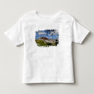 中国 チベット ラサ ポタラ宮 トドラーTシャツ