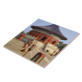 中国，北京，ティアンタンパーク，天国の神殿， タイル (側面)