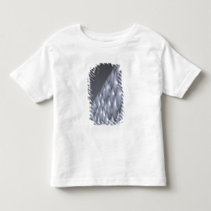 中国 北京 国家水泳センター トドラーTシャツ