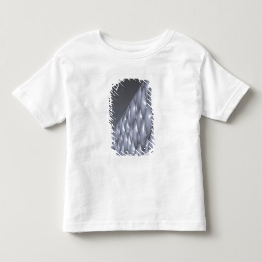 中国 北京 国家水泳センター トドラーTシャツ (正面)